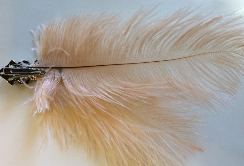 May include: A hair clip featuring a long, soft, pale peach-colored ostrich feather attached to a silver-toned metal alligator clip base. The feather has a thin, dark central quill and delicate, wispy barbs extending outward in a plume shape.