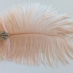 May include: A pale pink ostrich feather hair accessory featuring a silver-toned metal clip adorned with clear, sparkling rhinestones arranged in an intricate, symmetrical pattern at the base of the soft, wispy plume.