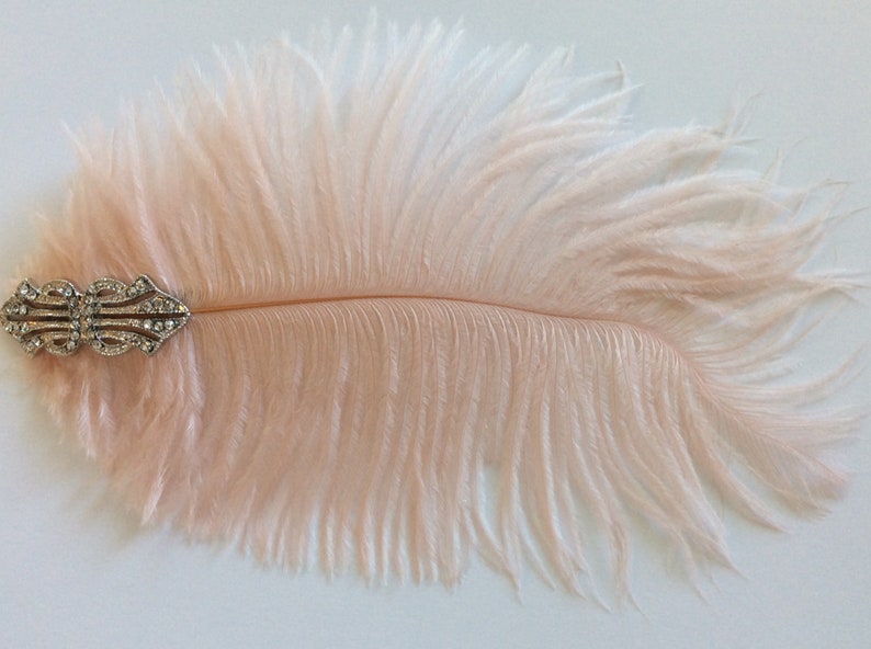May include: A pale pink ostrich feather hair accessory featuring a silver-toned metal clip adorned with clear, sparkling rhinestones arranged in an intricate, symmetrical pattern at the base of the soft, wispy plume.