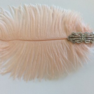 May include: A soft, pale peach-colored ostrich feather adorned with a silver-toned metal brooch featuring intricate filigree patterns and embedded clear crystals. The decorative piece is elongated and symmetrical, showcasing a delicate texture.