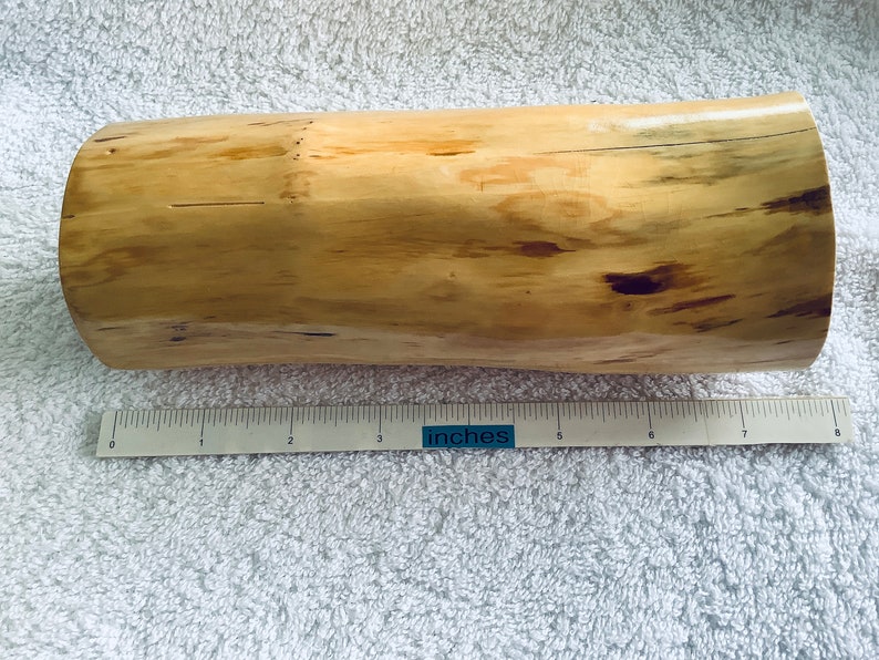 May include: A light brown wooden cylinder with a natural wood grain pattern. The cylinder is approximately 8 inches long and has a slightly curved shape. It is measured with a ruler that reads "inches".