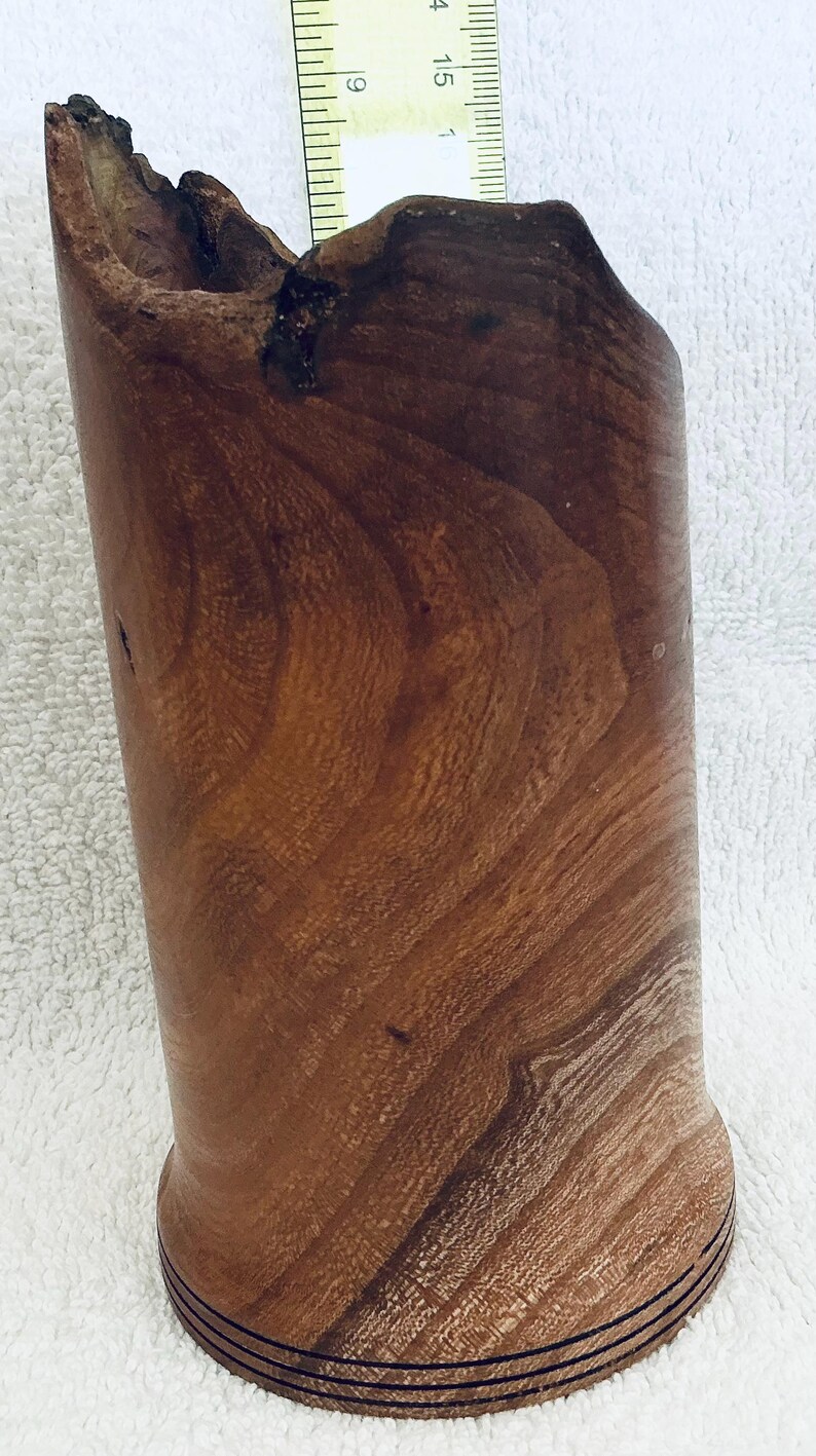 VERY RARE English Burr Eim Wood Vase: Dried Grasses or Artist Brushes image 5