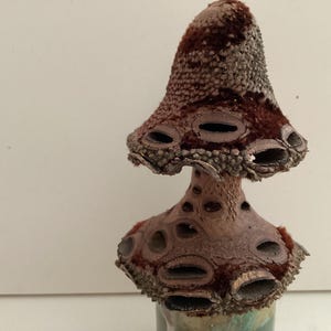 Champignons Banksia tournés à la main : décor de gousses australiennes, 4 pouces