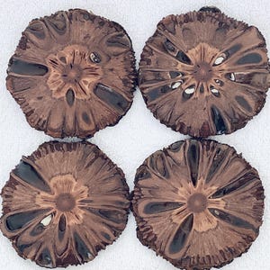 Hand Crafted....X Large…4 inch Approx…..Australian Banksia Nut  Coasters..... x 4.....Hostess Gift.....