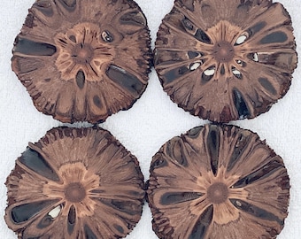 Hand Turned Banksia Nut Coasters: Australian Wood, 4 inch - Set of 4