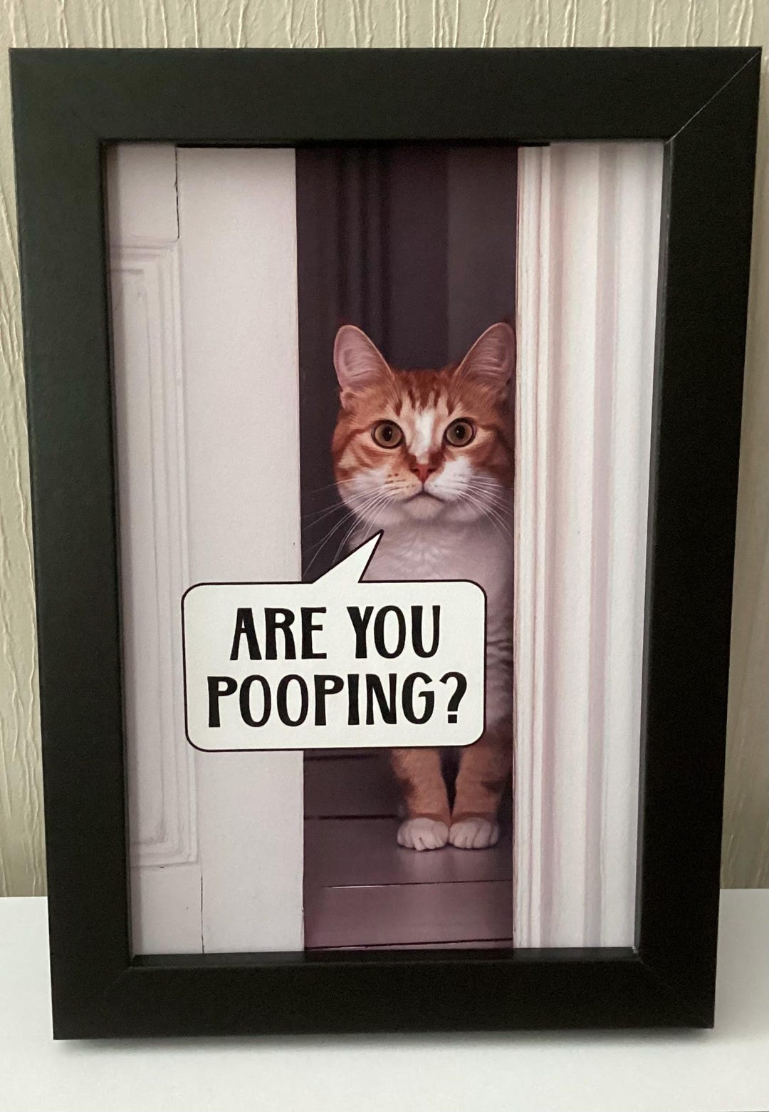 Funny Cat Bathroom Print: