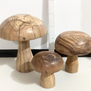 May include: Three wooden mushroom sculptures of varying sizes. The caps are light brown with darker wood grain patterns. The stems are a lighter shade of brown. The mushrooms are displayed on a white surface.