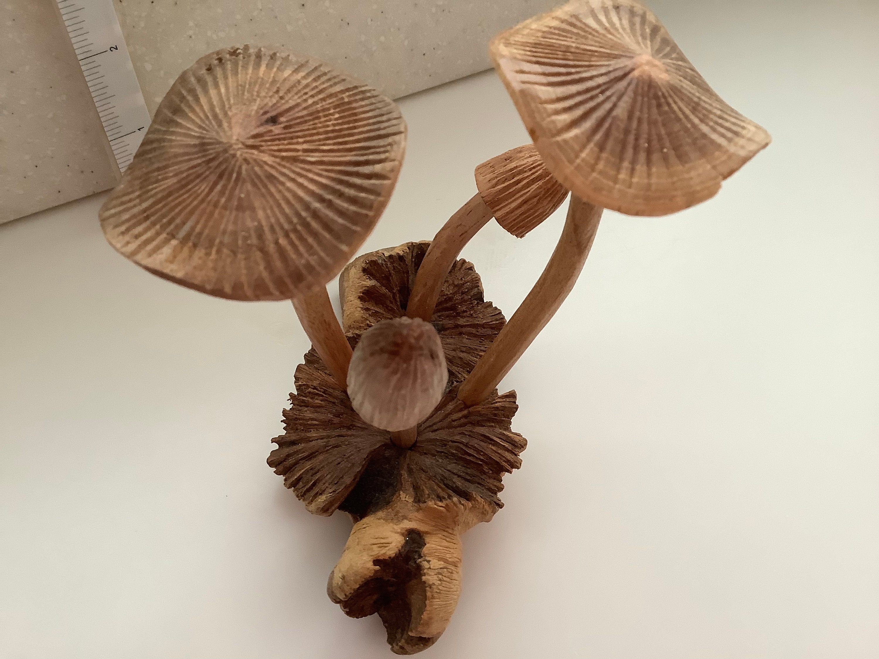 Figurine, Mushrooms, Carved Wood Sculptures, American, 20th Century –  George Glazer Gallery, Antiques