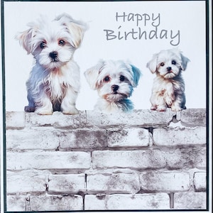 Buon compleanno… Biglietto… Matrimonio. Anniversario. Compleanno. Penso a te. Mamma. Sorella. Figlia. Partner. Amica. Zia. Papà. Fratello. Figlio.