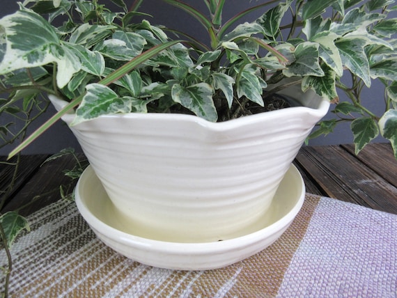 Chubacoo 6 Inch Plant Pots: Planter Pot with Drainage Hole & Saucer -  Ceramic Planters for Indoor/Outdoor Plants - Flower Pots for Garden, Home 