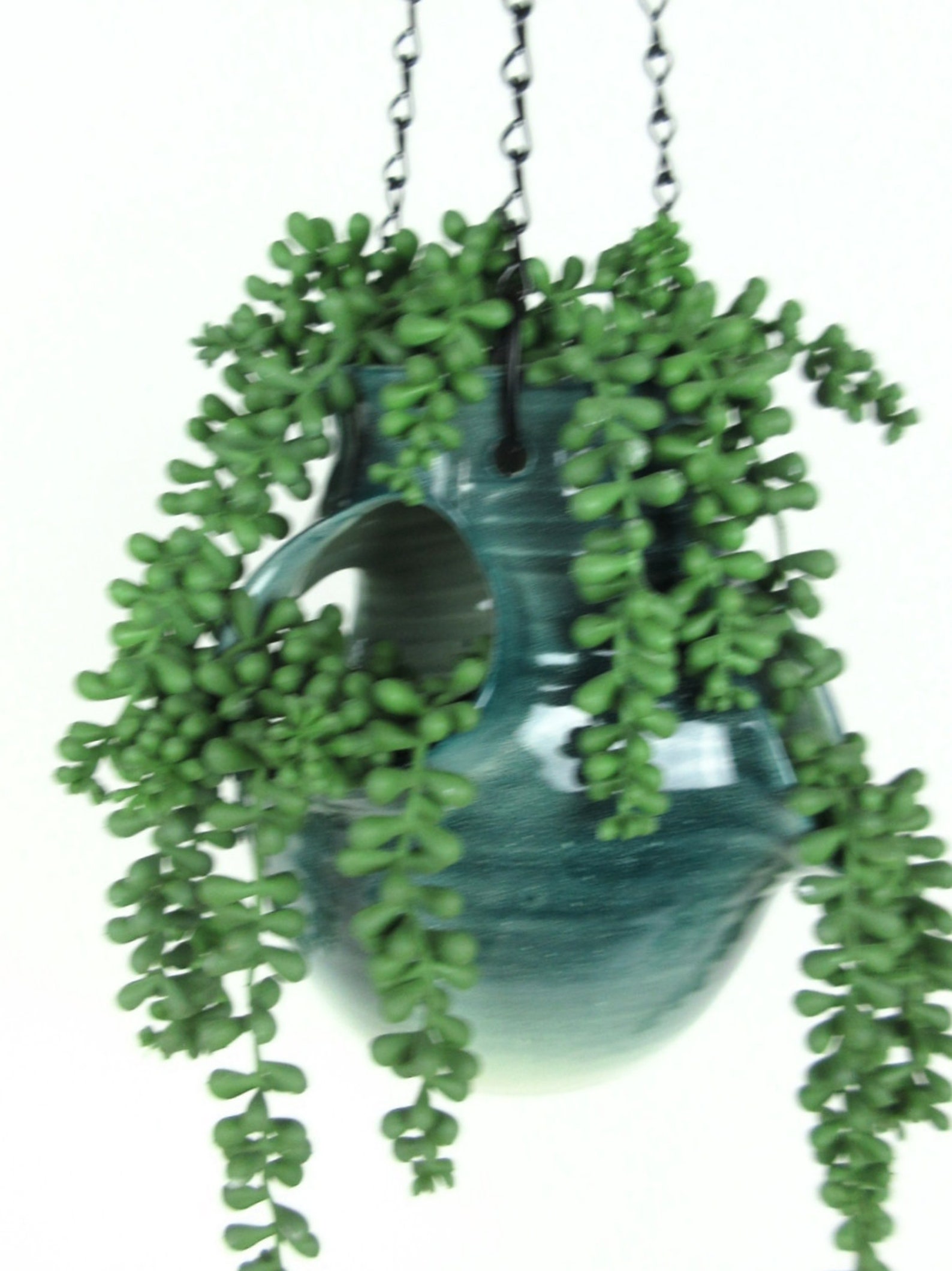 Green Hanging Strawberry Pot Hanging Planter Flower Pot Etsy