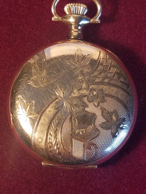 1900 elgin pocket watch