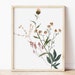 see more listings in the WALL ART• plants•flowers section