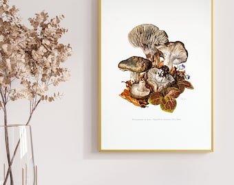 Snow mushroom original print from 1959 vintage poster edible mushroom botanical illustration