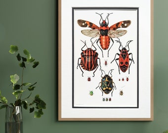 Bugs original print from 1961 vintage poster insects old illustration