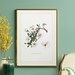 see more listings in the LITHOGRAPHY: Plants section