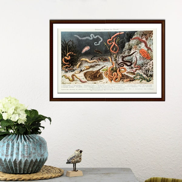Sea worms antique lithograph from 1927 vintage poster original underwater world illustration