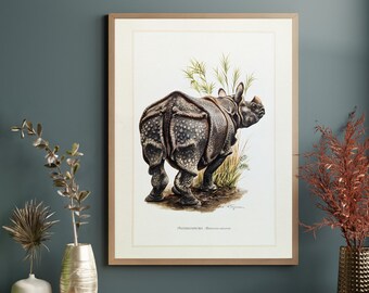 Impression originale de rhinocéros indien de 1959, affiche vintage, illustration ancienne de la faune