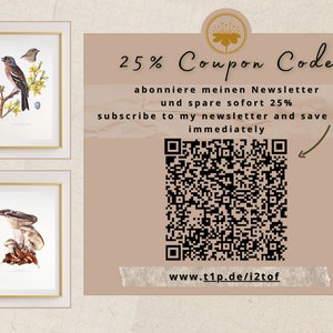 Marsh Harrier original print from 1952 vintage poster bird of prey old illustration image 2