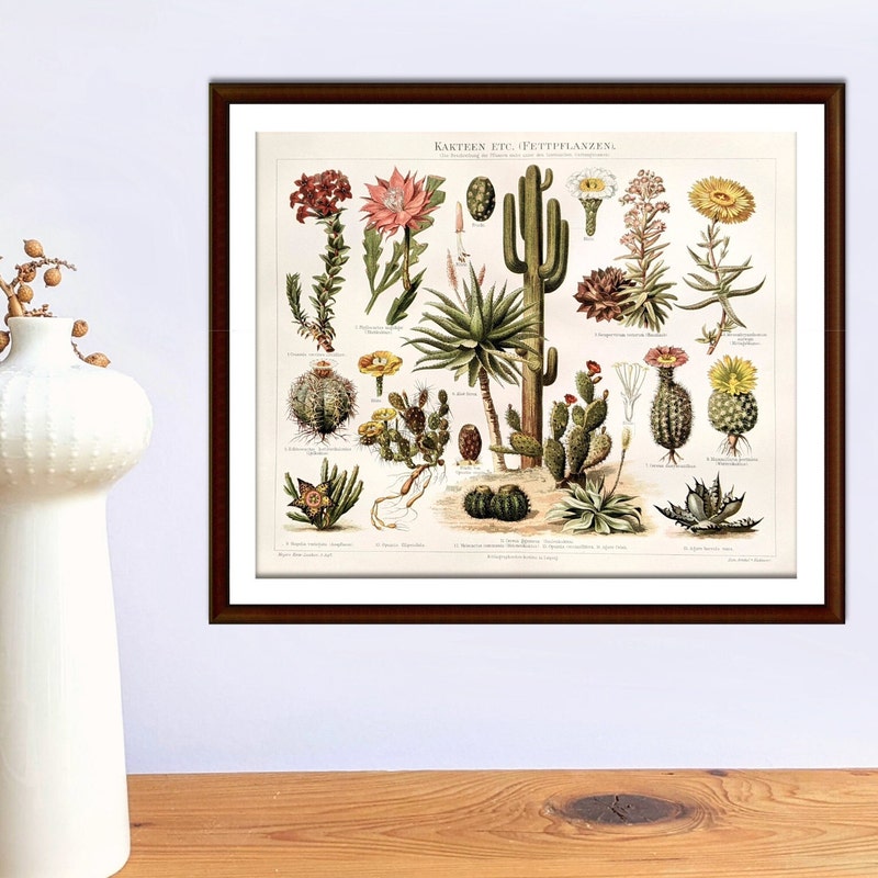Biology Print - Etsy