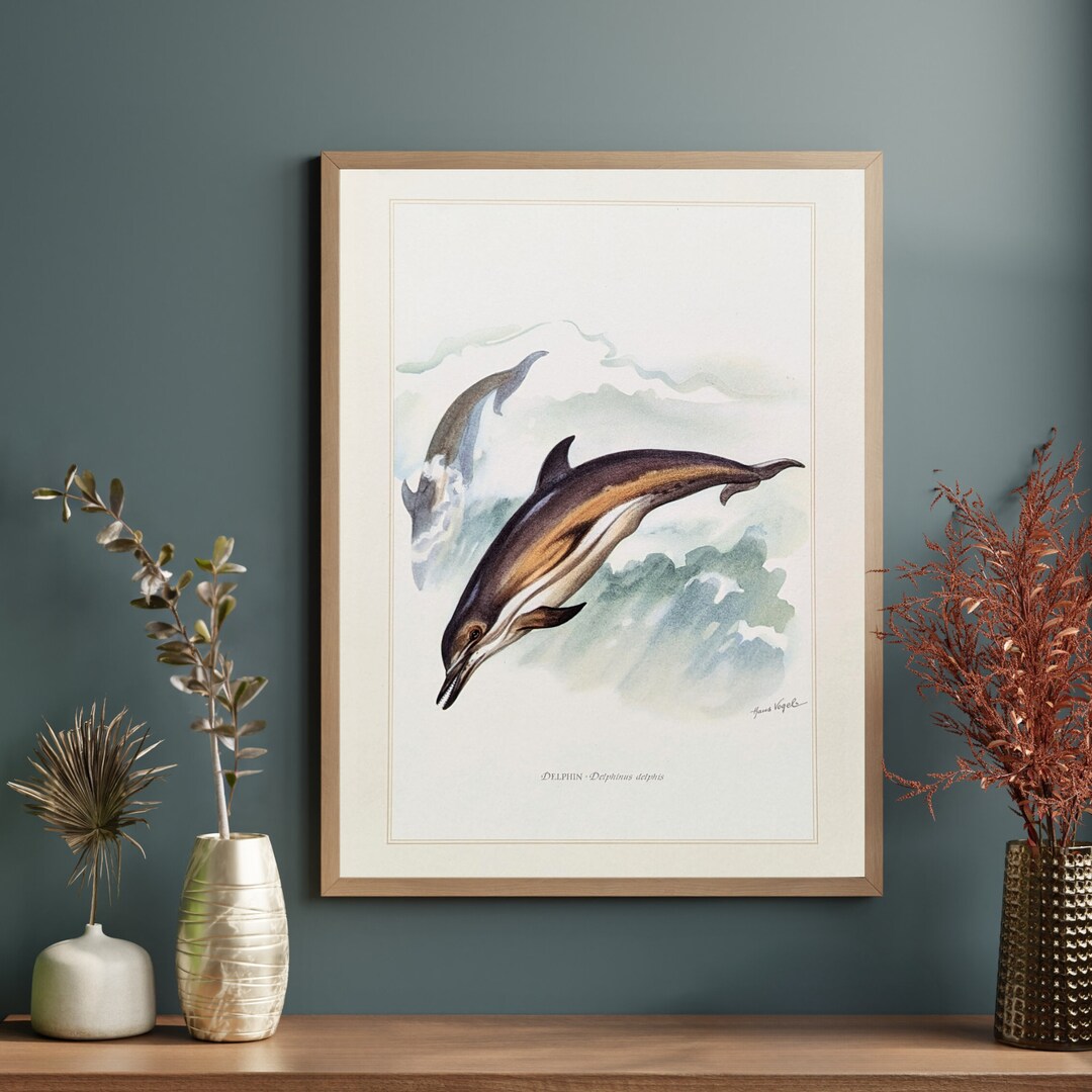 Dolphin Original Print From 1959 Vintage Poster Sea Creatures Old ...