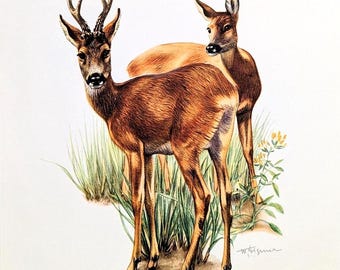 Tiere