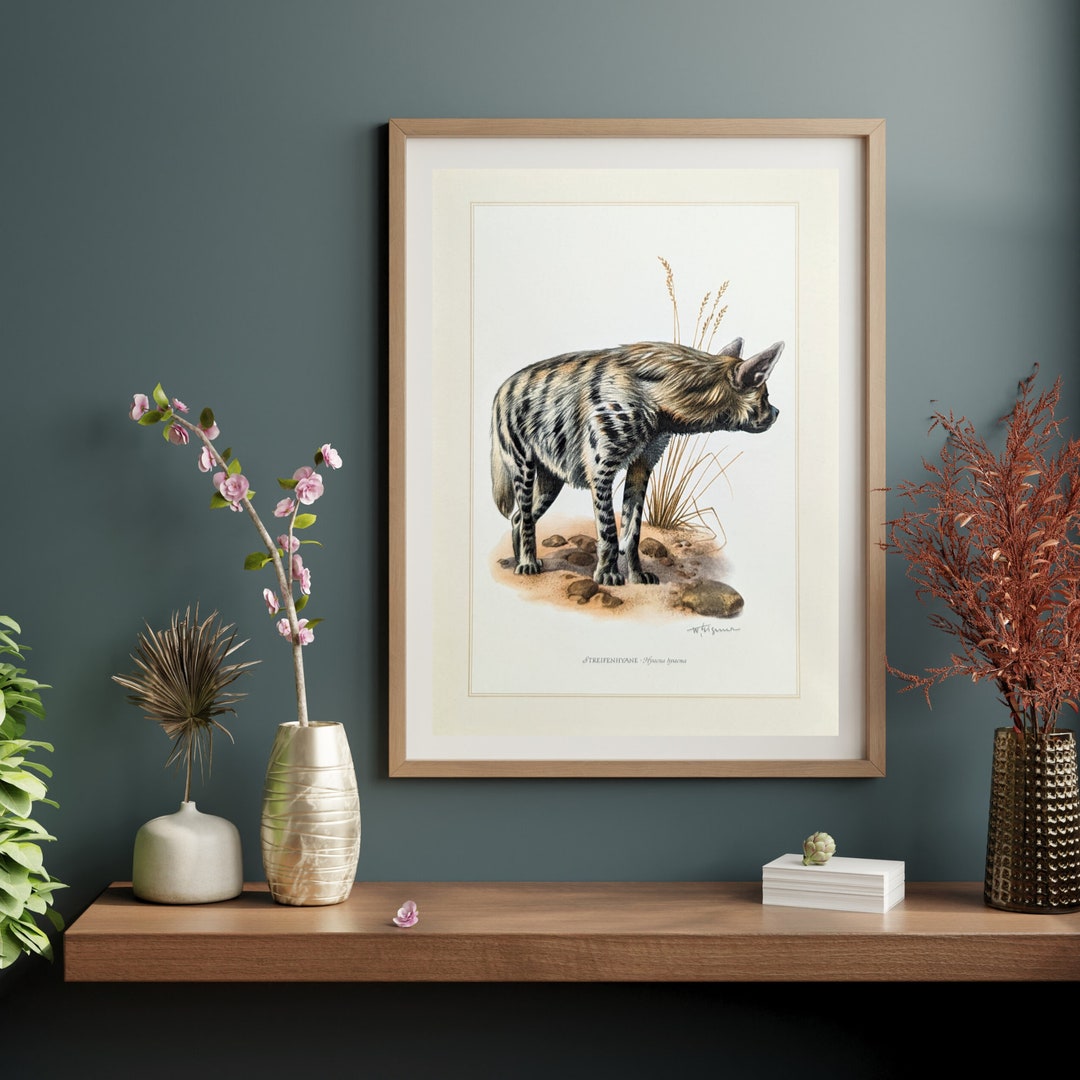 Hyenas Historical Print From 1959 Vintage Poster Original Wild Dog