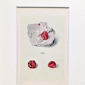 Può includere: Un'illustrazione di una gemma di rubino in una cornice bianca. L'immagine presenta un grande pezzo di roccia bianca con un rubino rosso incastonato. Sotto ci sono due rubini aggiuntivi, uno sfaccettato e uno cabochon. La parola "Rubin" è stampata sotto.