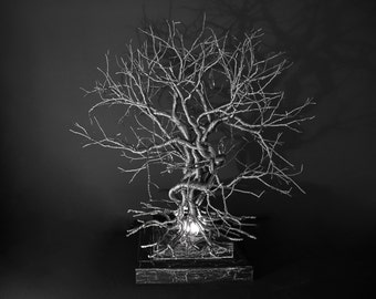 Colección ROOTS - Roots Large