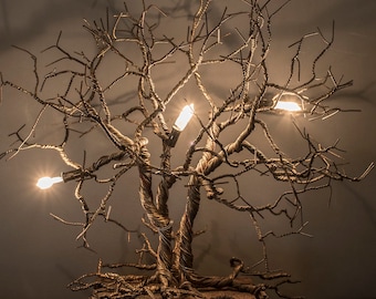 ROOTS Collection - Roots Small
