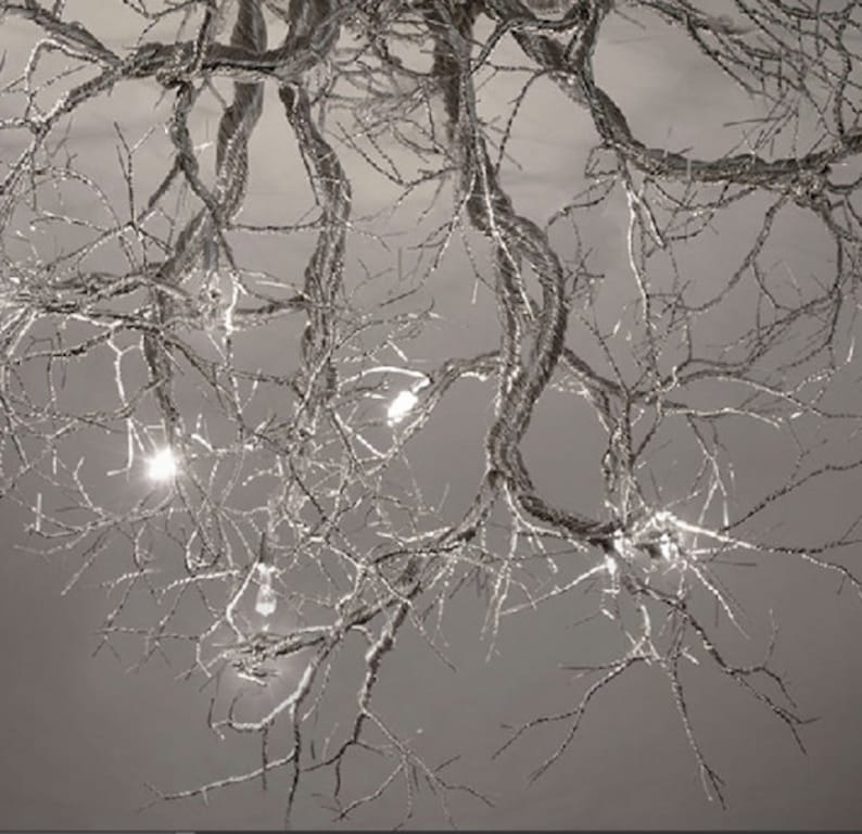 Pu&ograve; includere: Primo piano di una scultura di ramo di albero in metallo argentato con luci. I rami sono intrecciati e creano uno schema complesso. Le luci sono piccole e bianche e illuminano i rami.