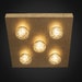 see more listings in the Ceiling Lights section