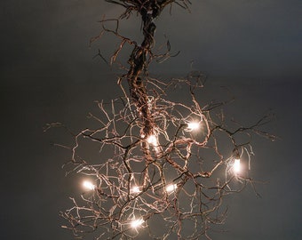 Collezione ROOTS - Ramo radice