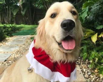 dog christmas bell collar