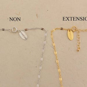 Puede incluir: Dos cadenas, una de plata y otra de oro, con un cierre y una cadena de extensi&oacute;n. La cadena de plata est&aacute; etiquetada como "NON" y la cadena de oro como "EXTENSION".
