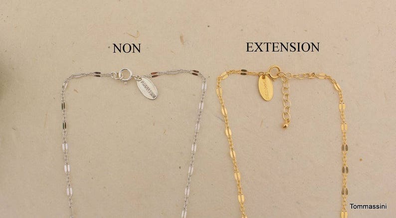 Puede incluir: Dos cadenas, una de plata y otra de oro, con un cierre y una cadena de extensi&oacute;n. La cadena de plata est&aacute; etiquetada como "NON" y la cadena de oro como "EXTENSION".