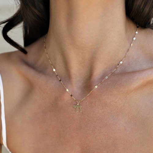 Chai Necklace Bat Mitzvah Gift Jewish Jewelry Judaism Etsy