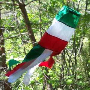 Puede incluir: Un cometa de tela verde, blanco y rojo colgando de una rama de árbol. El cometa está hecho de un material ligero y tiene una cola larga y fluida.