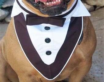 Dog Tuxedo, Dog Wedding Attire, Dog Clothes, Tuxedo Collar, Black and White Tuxedo, Large Dog Tux, Pet Wedding Clothes