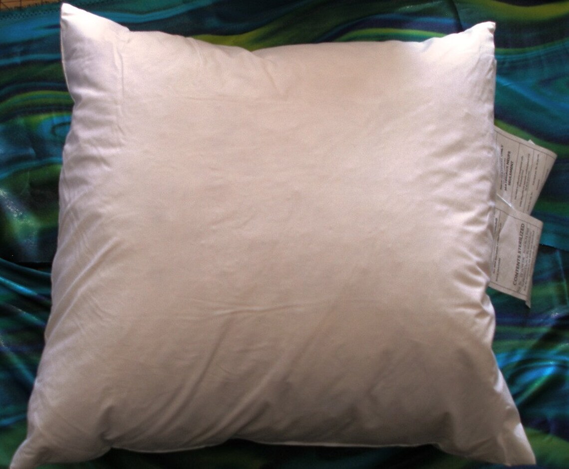Feather Pillow Insert 20 X 20 Very Soft and Fluffy Etsy