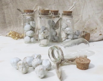 7 Tiny Frozen Charlotte Doll Heads in 3" Glass Vial Antique Bisque Doll Parts
