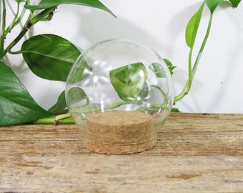 Small Glass Dome Globe with Cork Bottom 3" x 3"