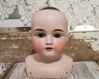 Antique Kestner 7" Doll Head with Shoulder Germany Porcelain Blinky Eyes