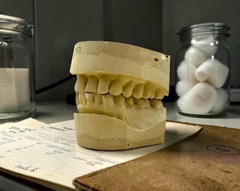 Vintage Dental Cast Model | Medical Oddity | Creepy Dentist Study Model | Anatomical Curiosity