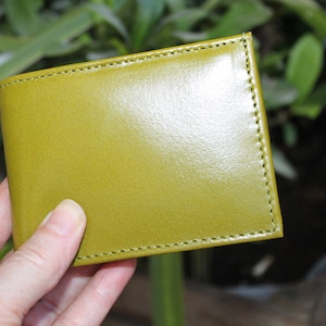 Petit portefeuille en cuir vert, Espaces multicartes, Compartiments à billets, Zone à pièces, Zone à billets avec fermeture à glissière