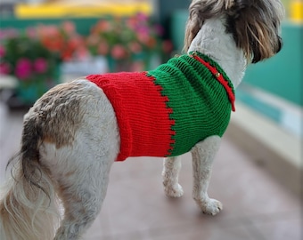 May include: A small white dog wearing a red and green knitted sweater with bells. The sweater has a red top and a green bottom.