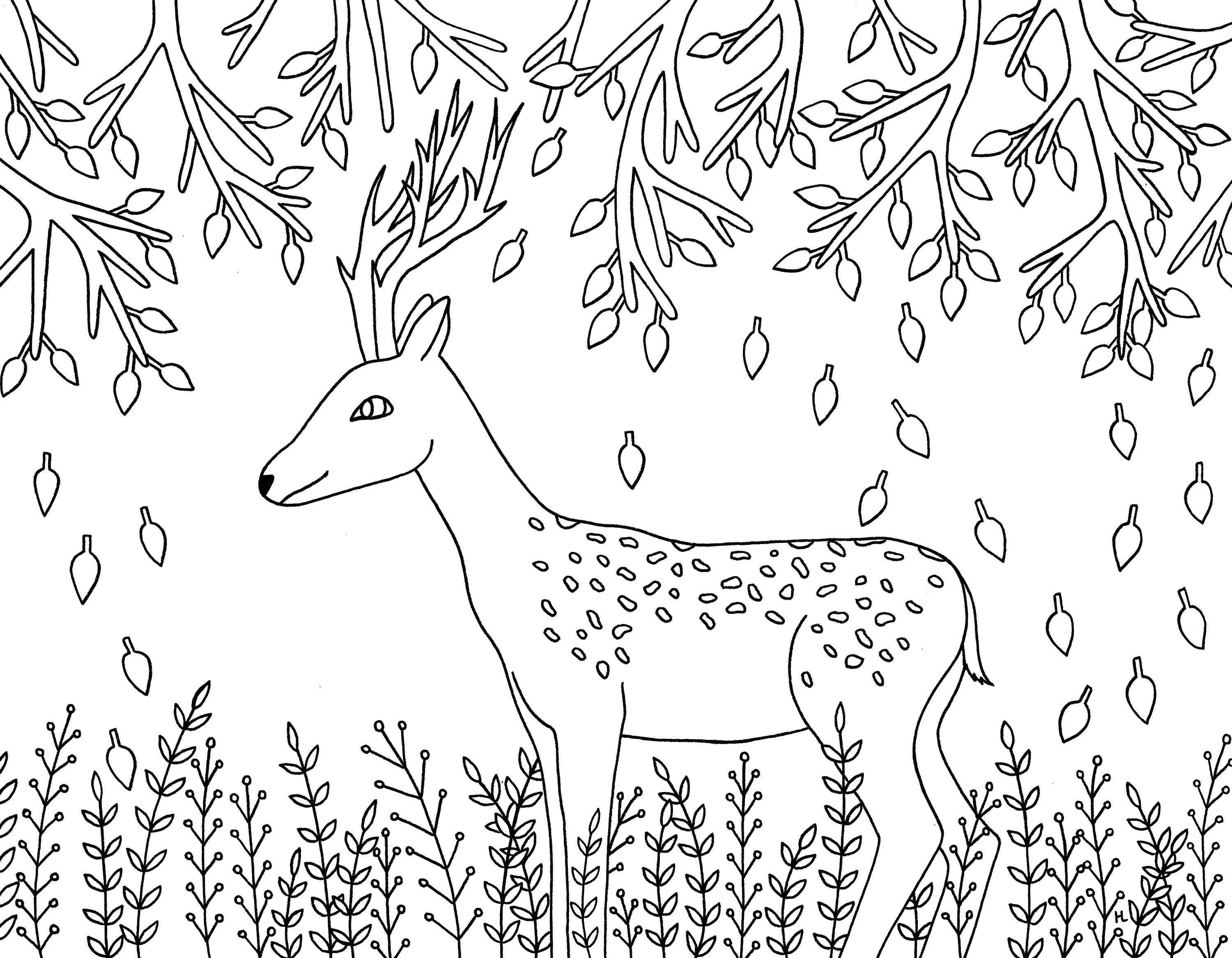 Kolorowanki Do Druku Zwierzęta Leśne 5 zwierzęta leśne kolorowanki pakiet cyfrowy do pobrania | Etsy