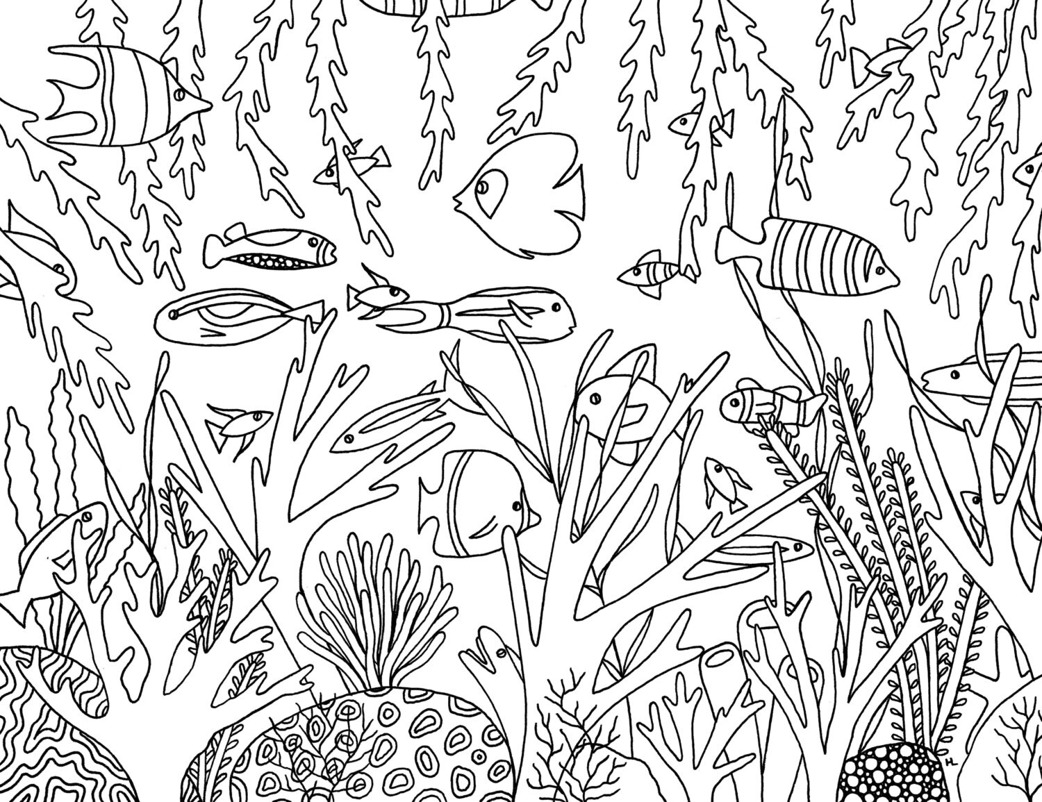 Coral Reef Digital Download Coloring Page | Etsy