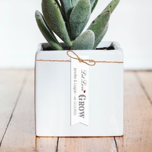 Let Love Grow Tags, Gift Tags, Wedding Favour Tags, Succulent favor tag, Baby Shower Tags, Bridal Shower Tags, Custom Gift Tags
