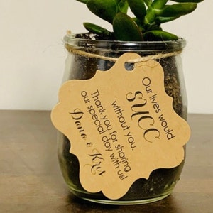 Succulent Favor Tags, Wedding Favor Tags, Thank You Tags,  Baby Shower Gift Tags, Bridal Shower Favor Tags